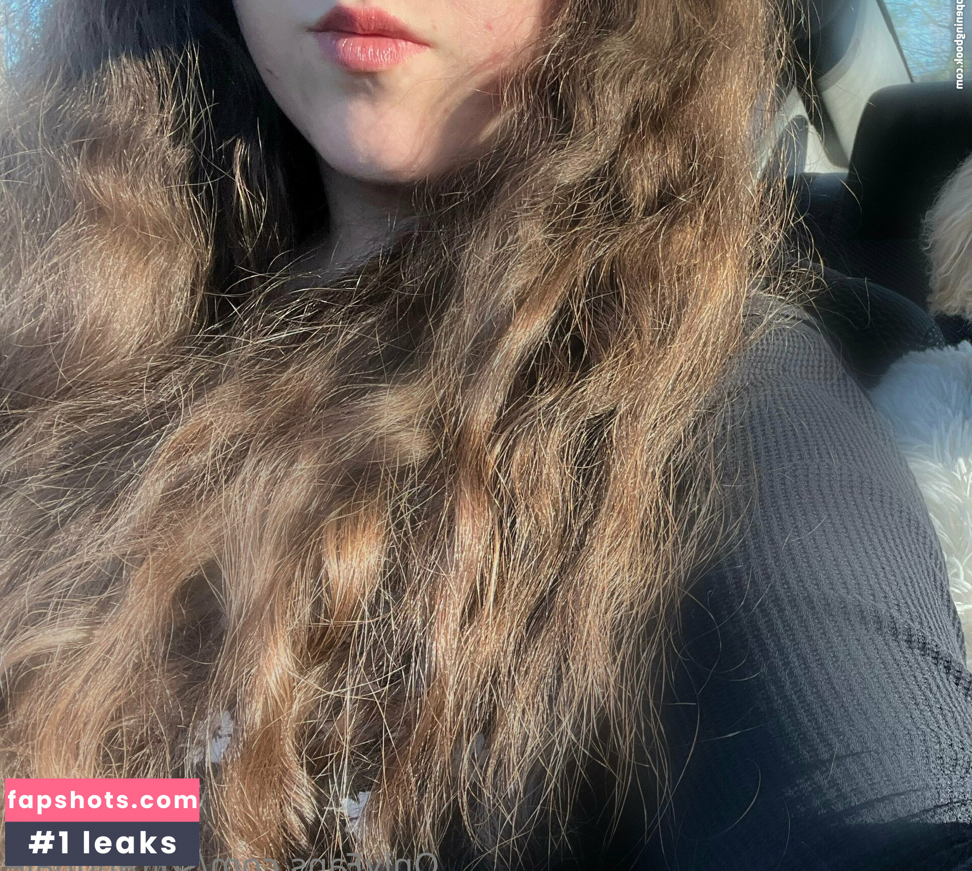 Softandpale gallery photo #16