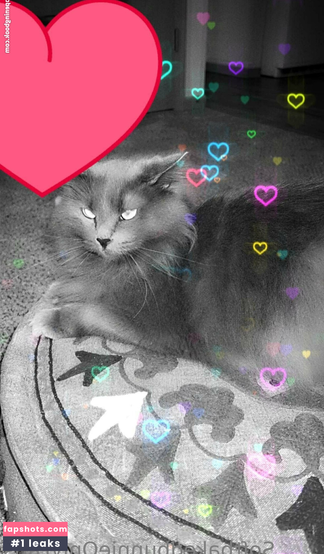 softbakedbunnie gallery photo #14