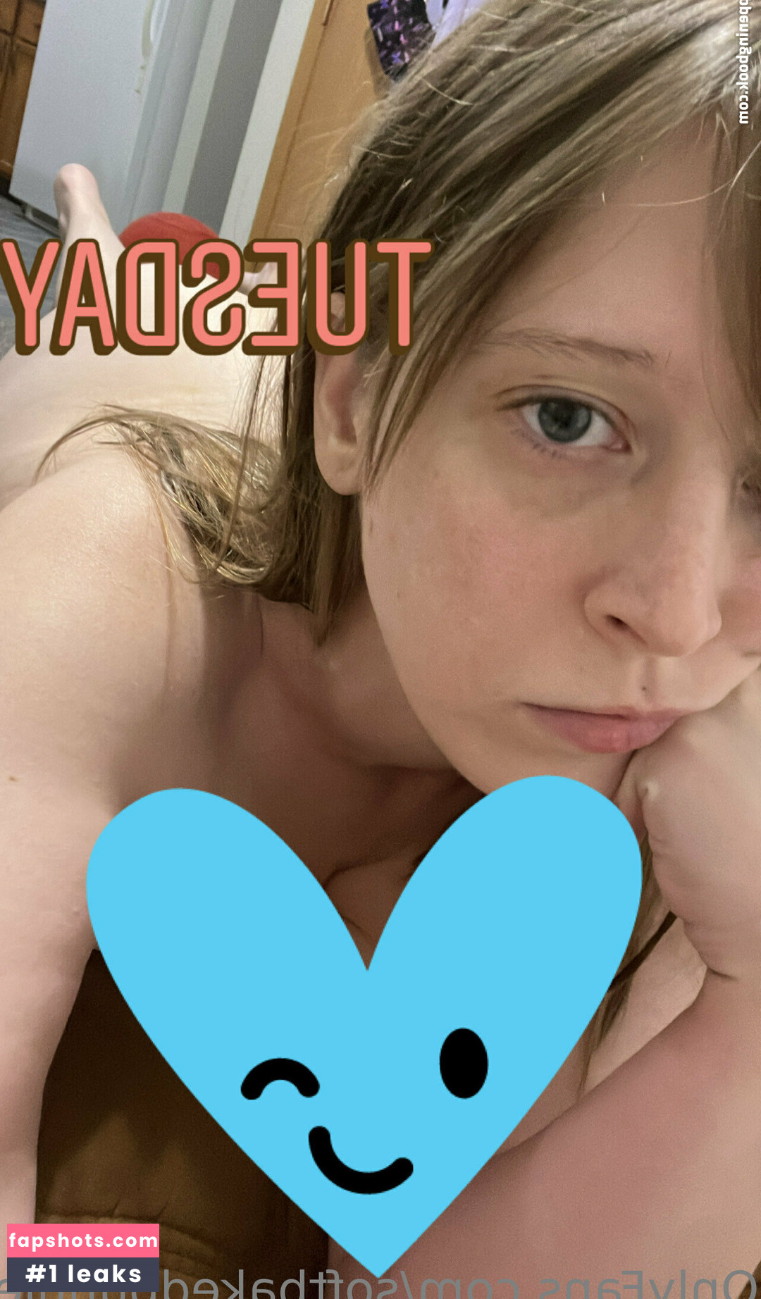 softbakedbunnie gallery photo #8