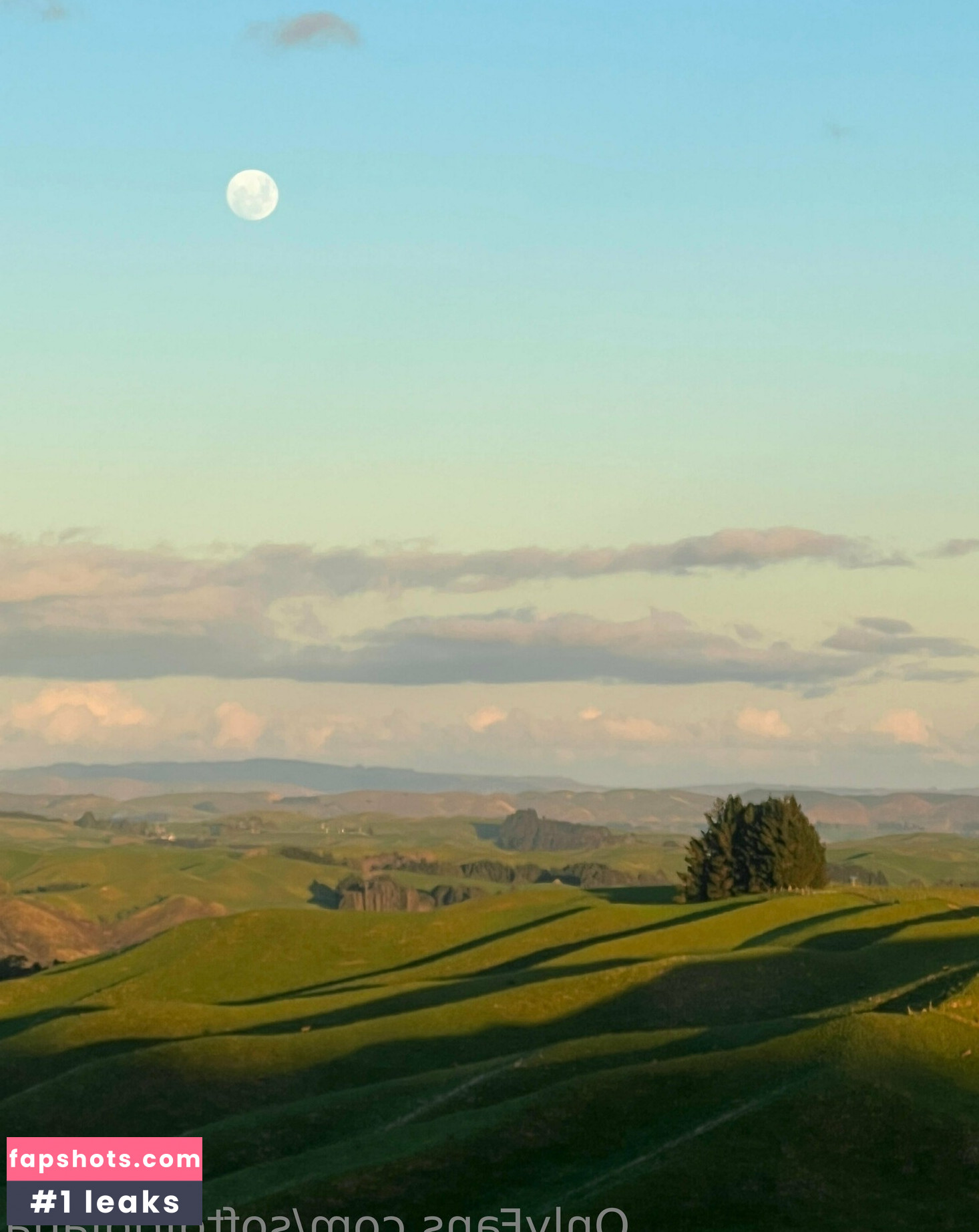 softgirldiana gallery photo #43