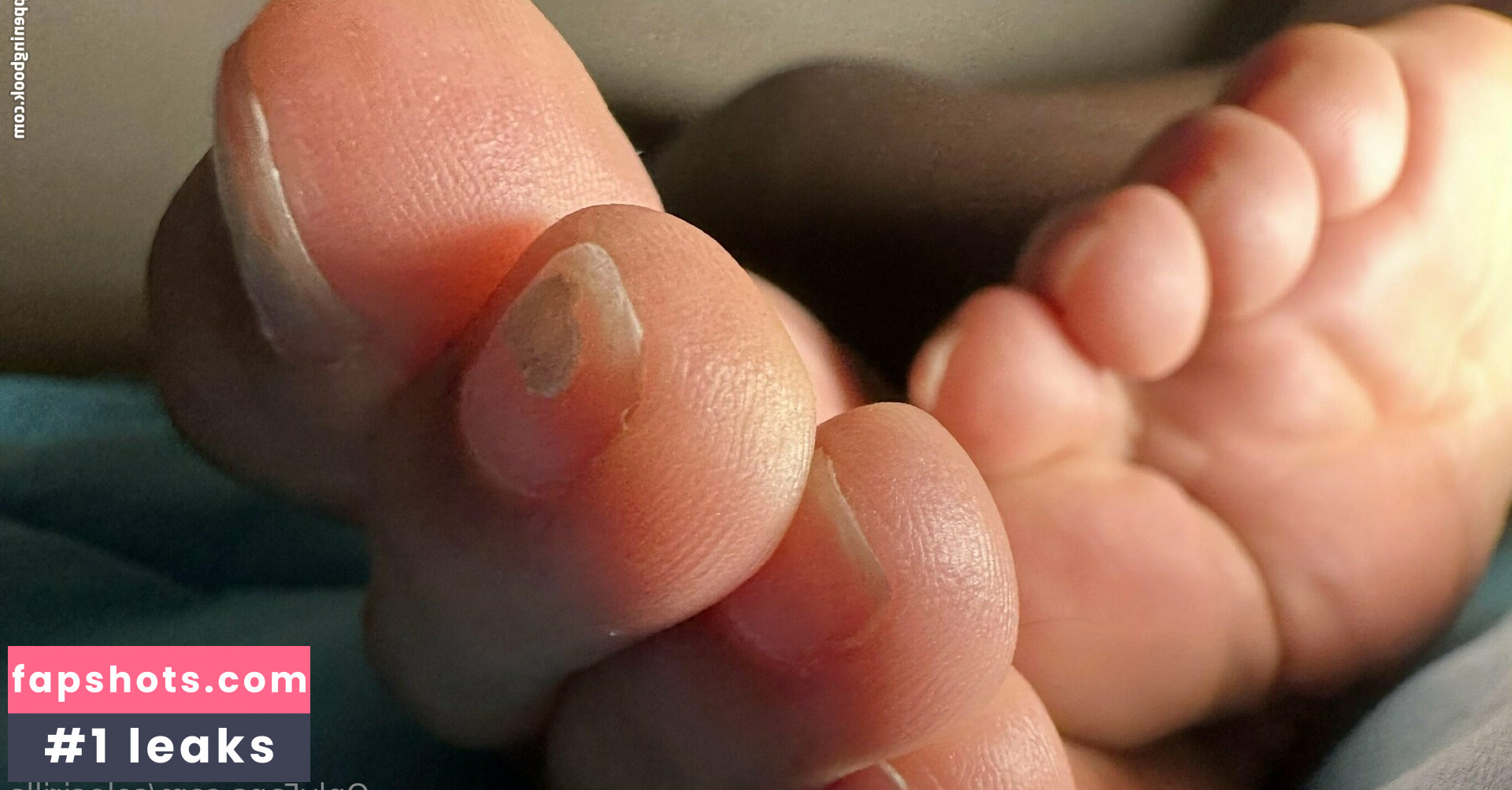 solecirilla gallery photo #19