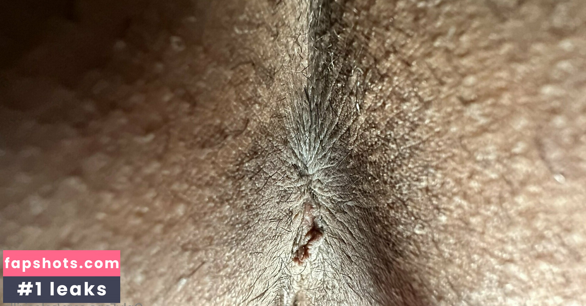 solecirilla gallery photo #20