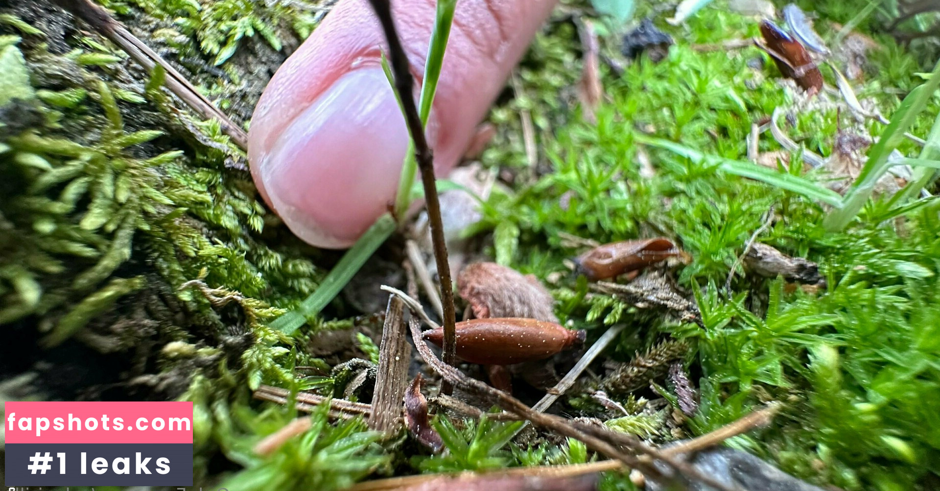 solecirilla gallery photo #3