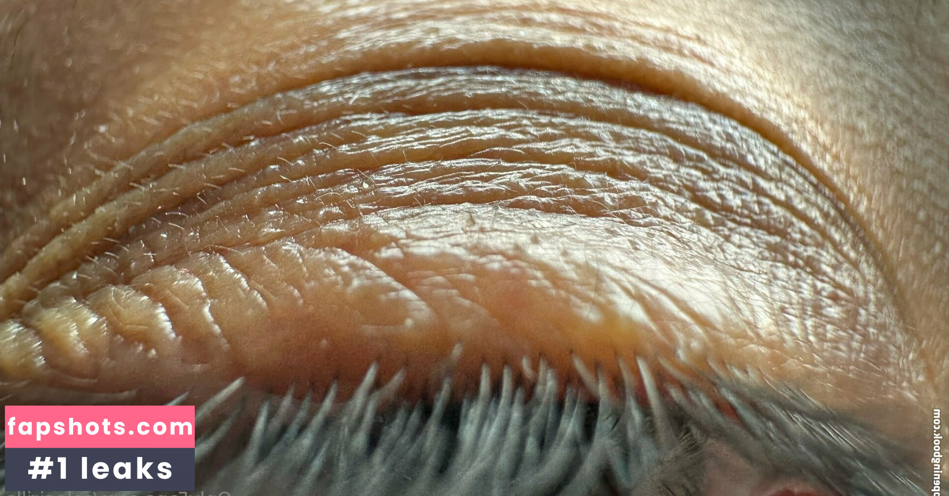 solecirilla gallery photo #22