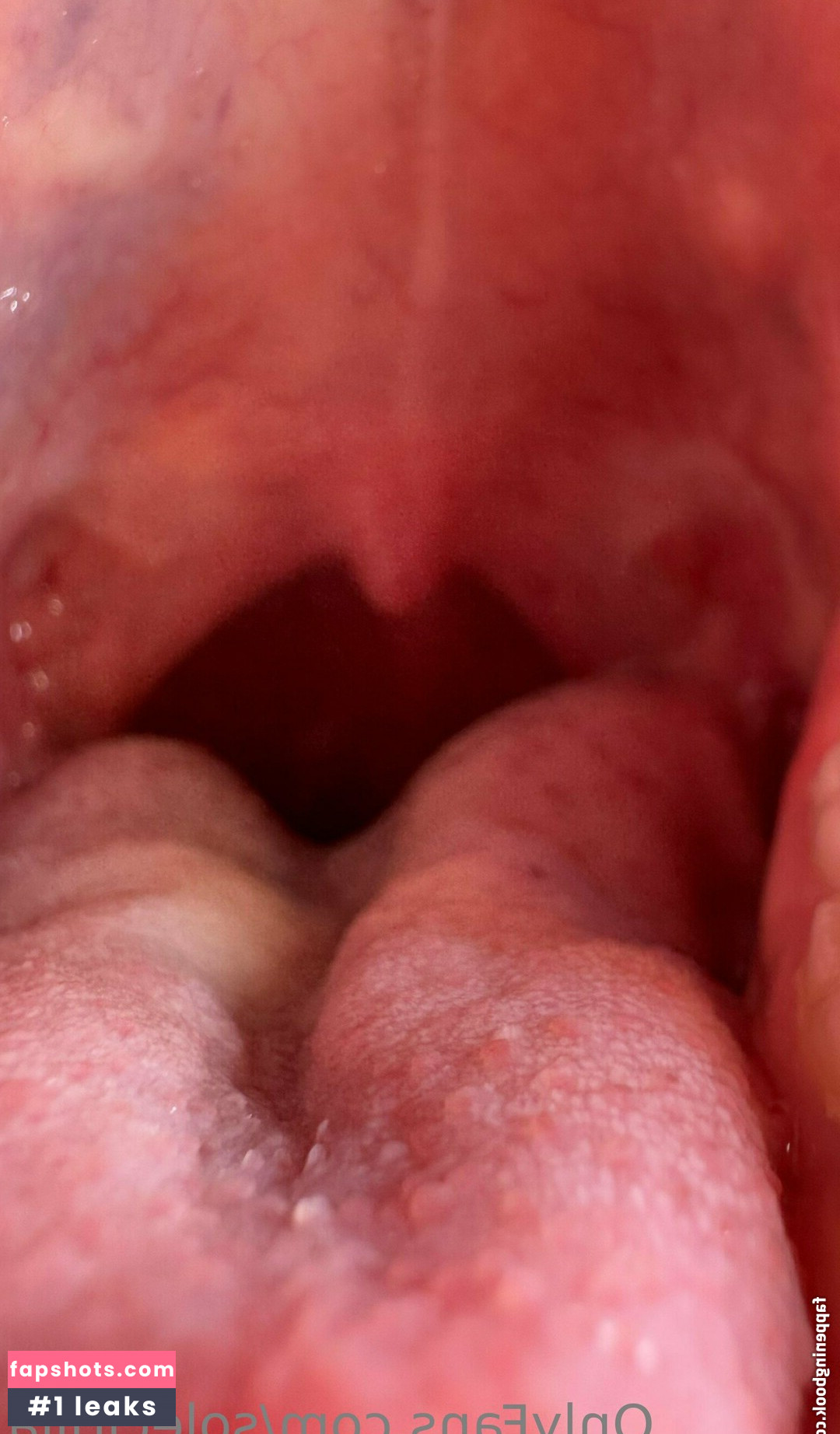 solecirilla gallery photo #24