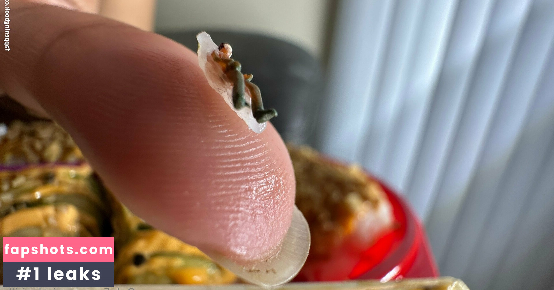 solecirilla gallery photo #25