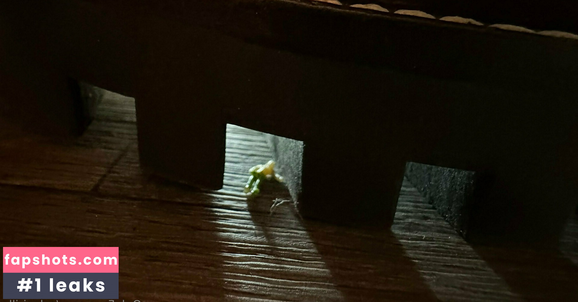 solecirilla gallery photo #5