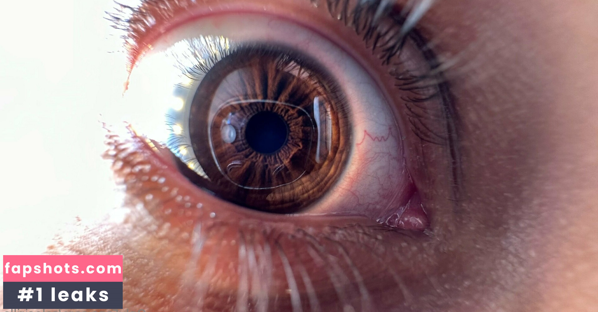 solecirilla gallery photo #7