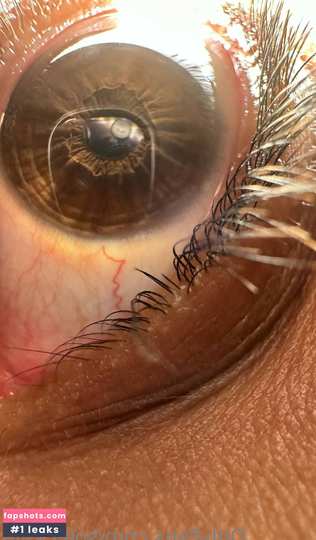 solecirilla gallery photo #10