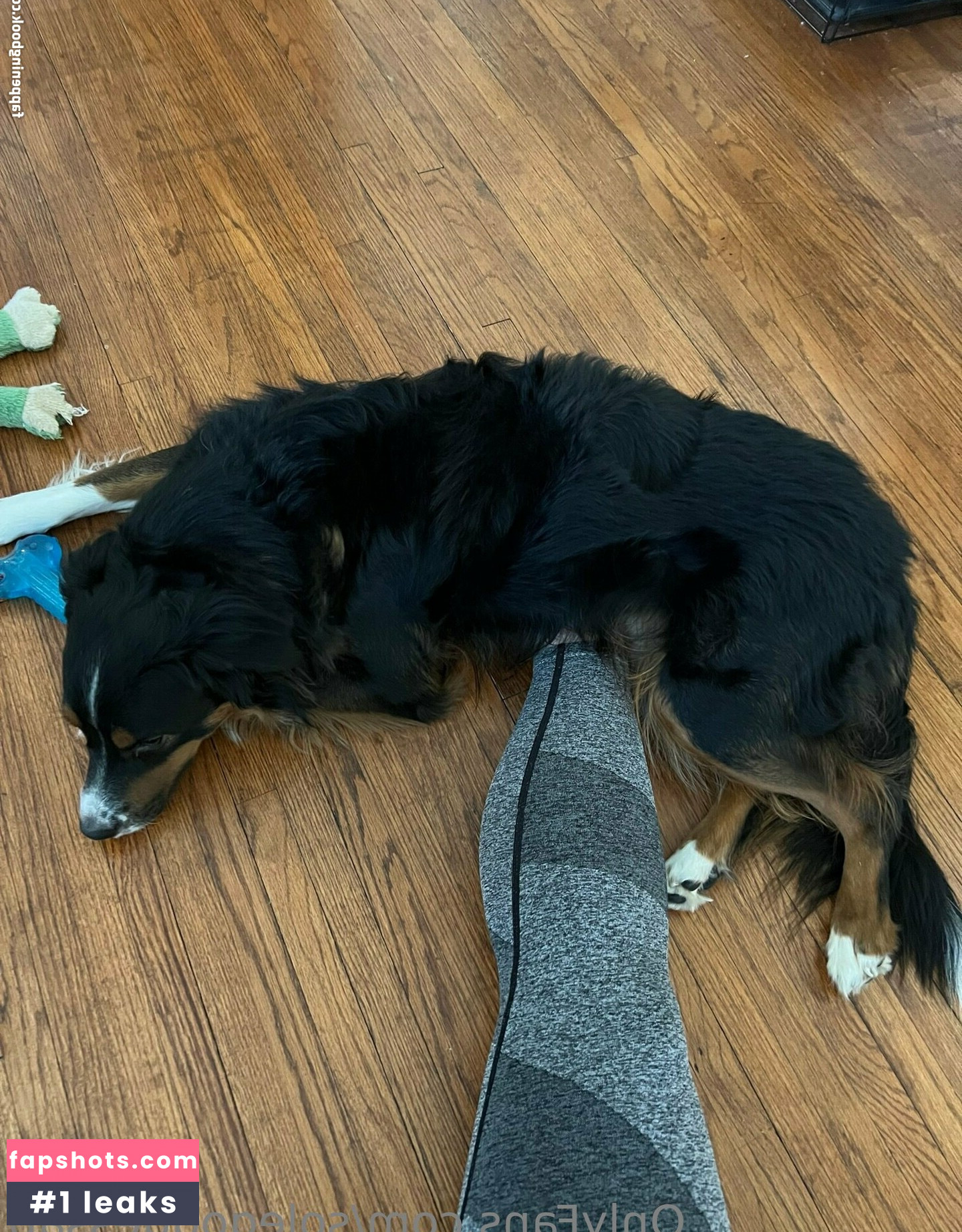 solegoddessap Nahé úniky fotek pouze od fanoušků #15 - Fapshots