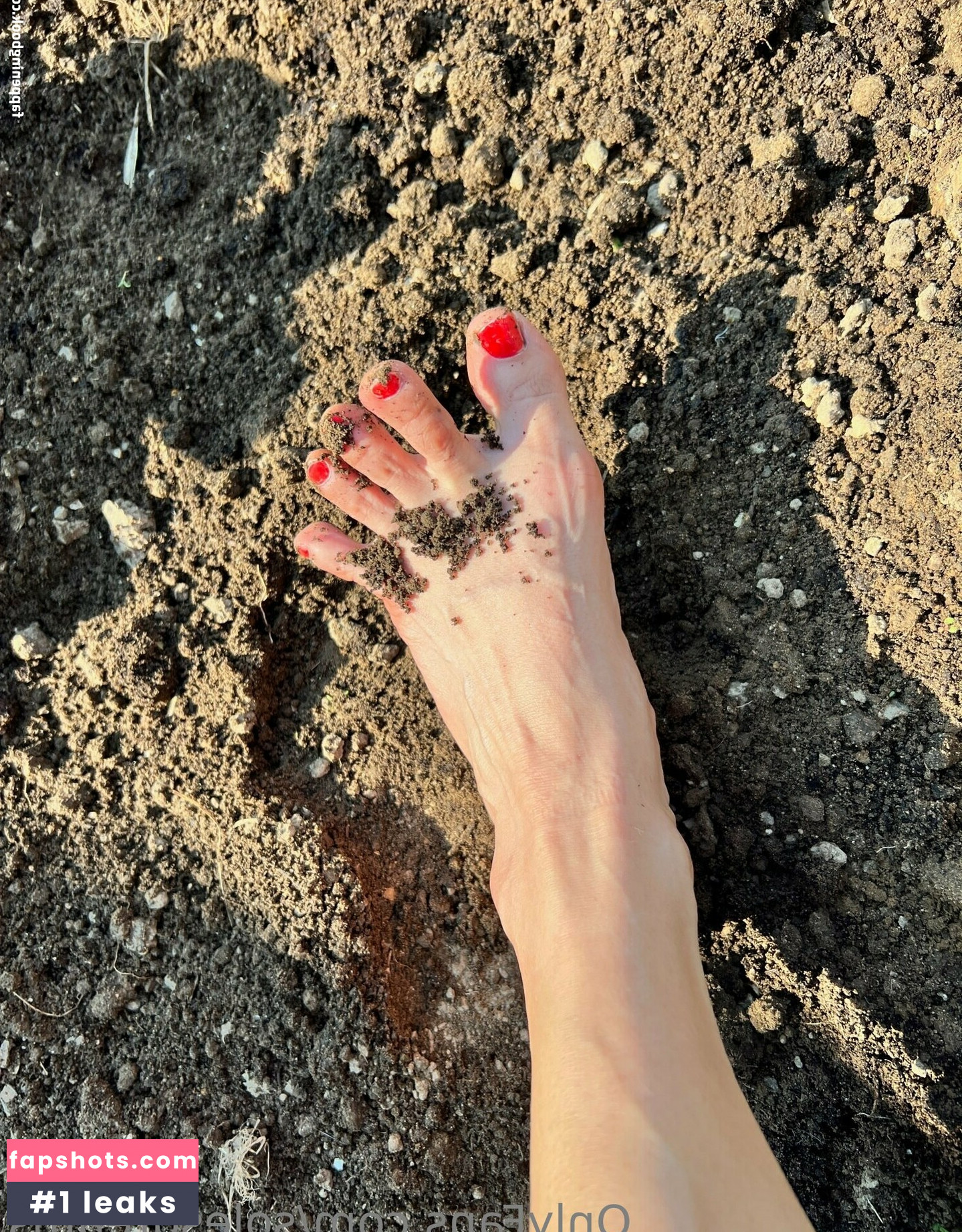 solesdreams gallery photo #10