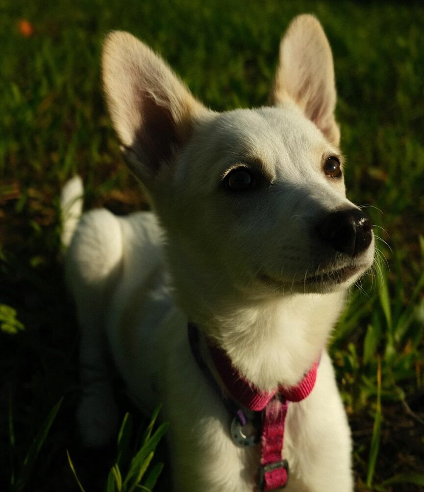 solomia-maievska gallery photo #1003