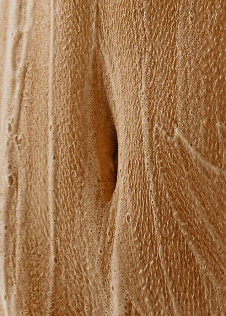 solomia-maievska gallery photo #1229