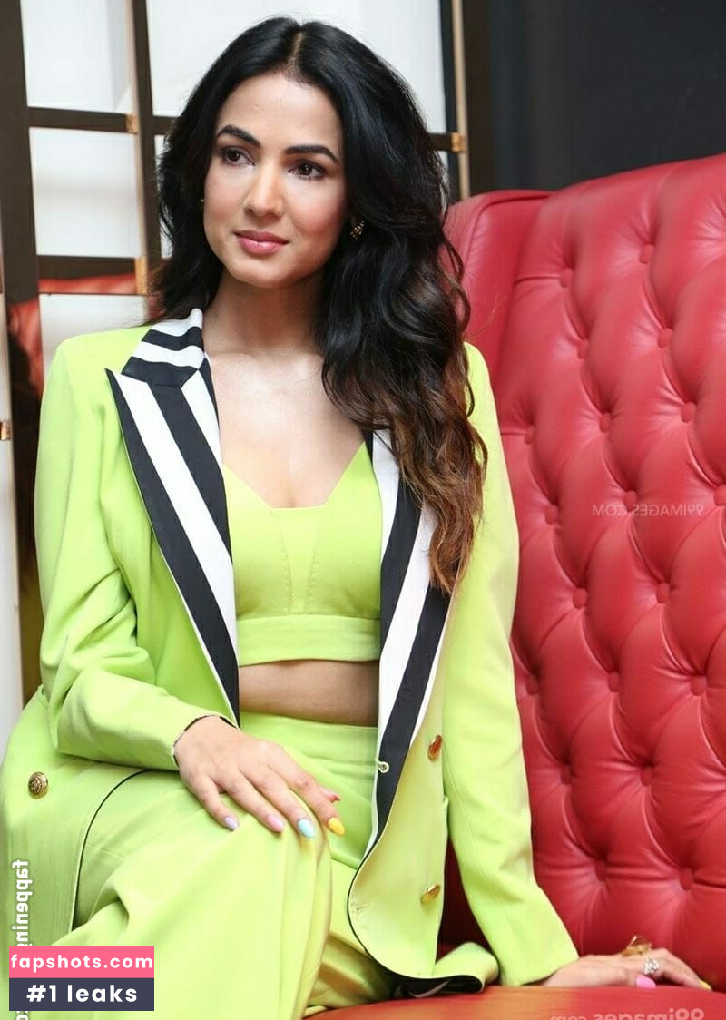 Sonal Chauhan Nude Leaks OnlyFans Photos #14 - LeakJerk