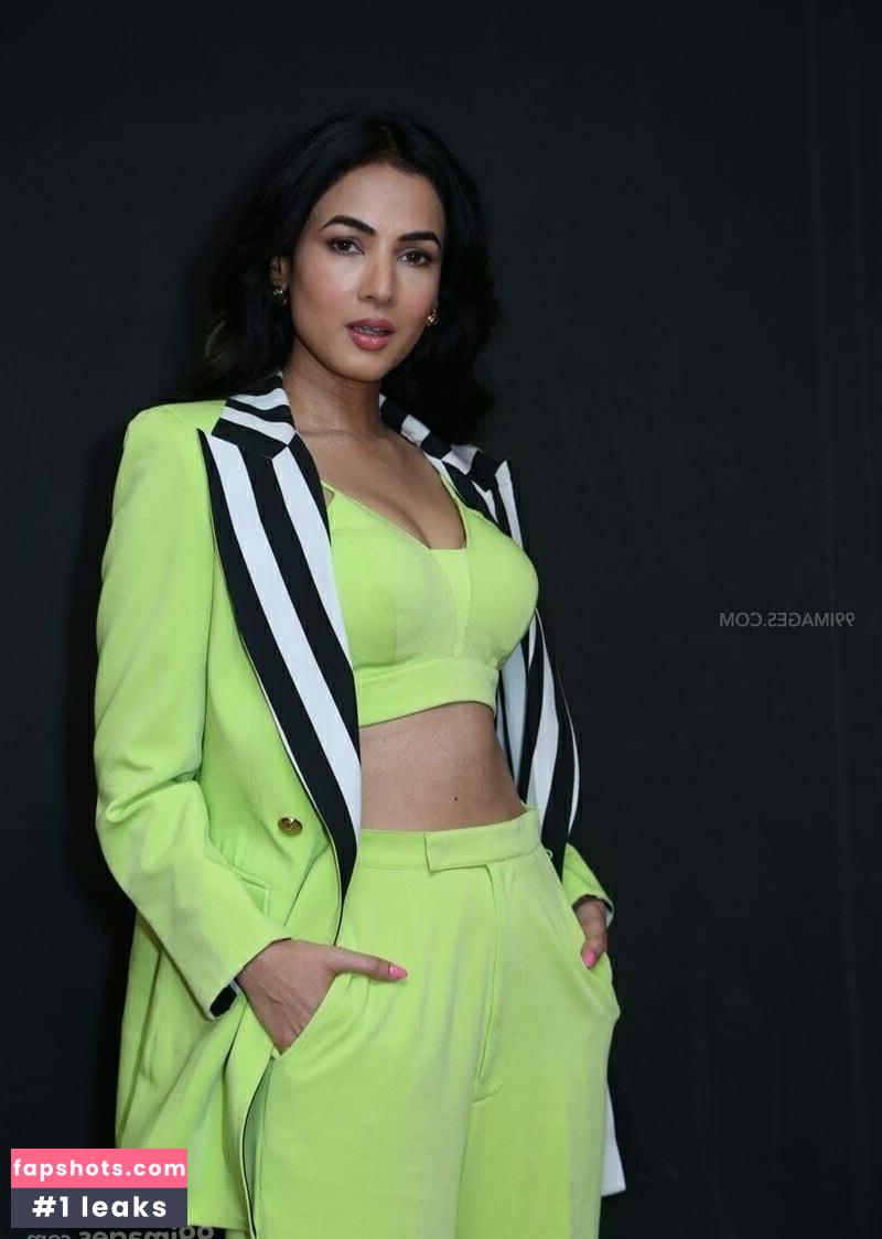Sonal Chauhan Nude Leaks OnlyFans Photos #6 - LeakJerk