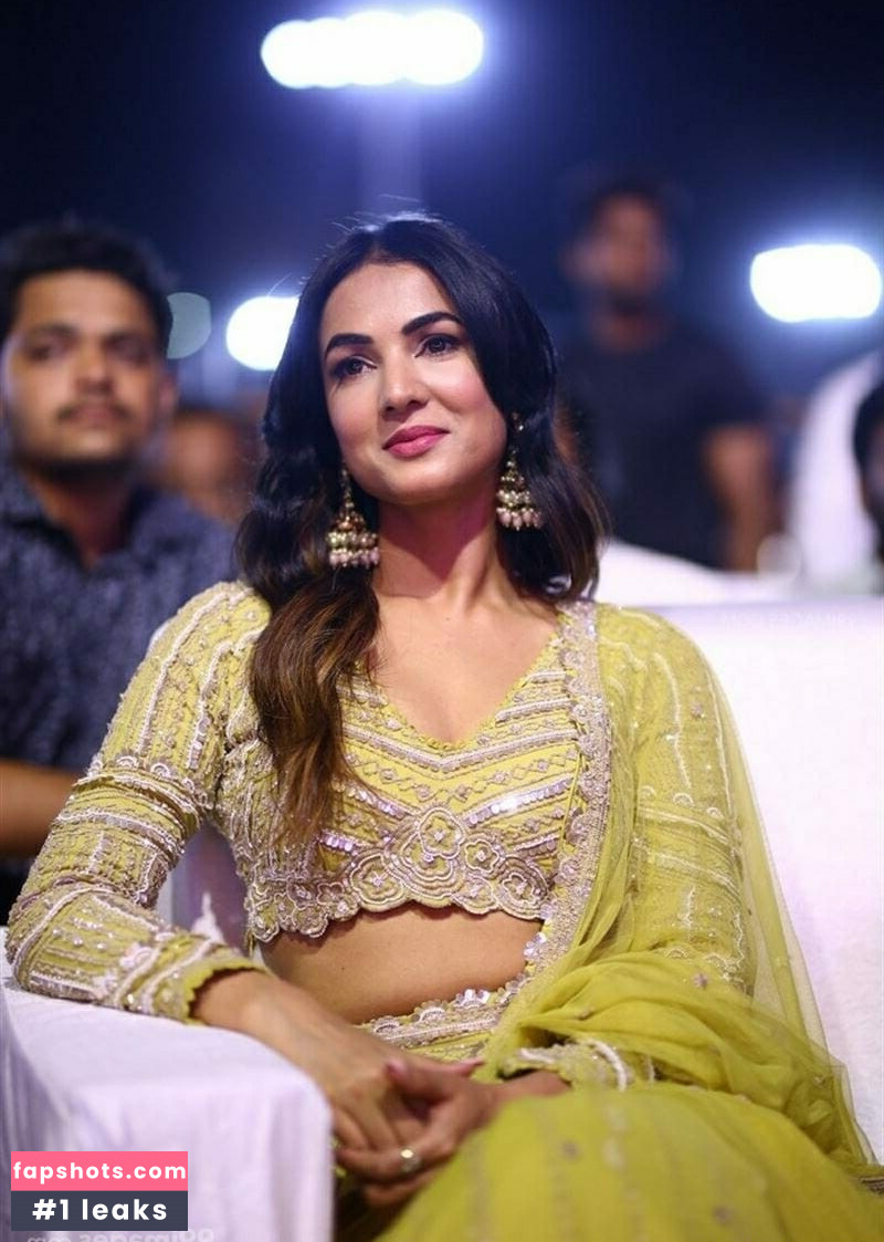 Sonal Chauhan Nude Leaks OnlyFans Photos #7 - LeakJerk