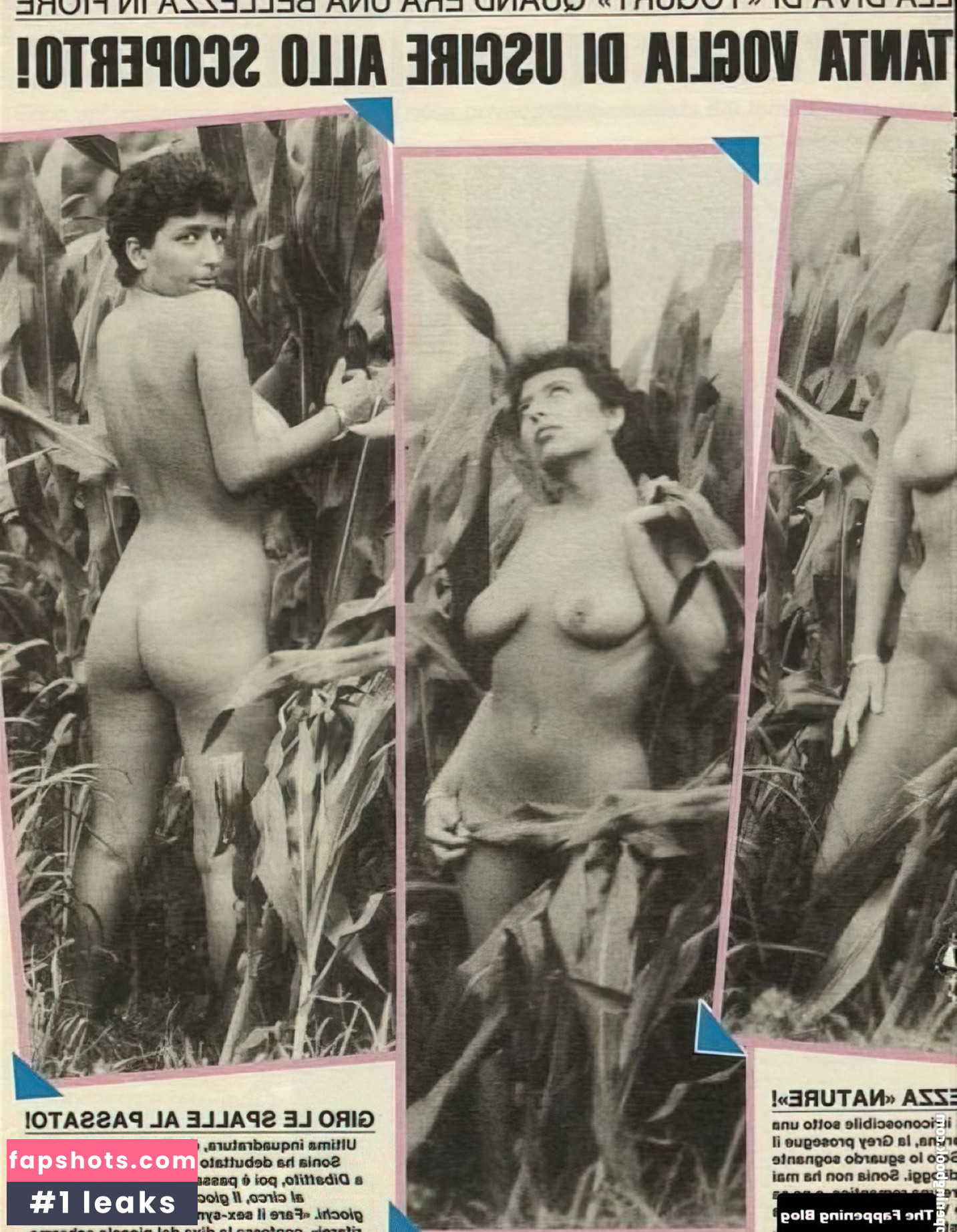 Sonia Grey Nude Leaks OnlyFans Photos #40 - LeakJerk