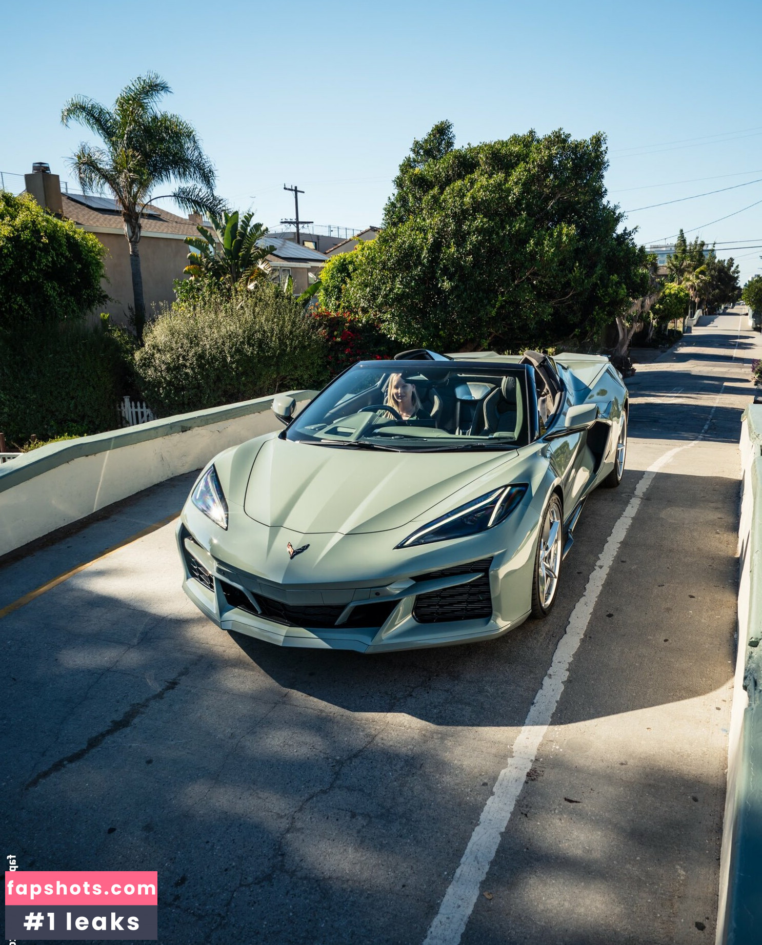 Sonja Reid gallery photo #102