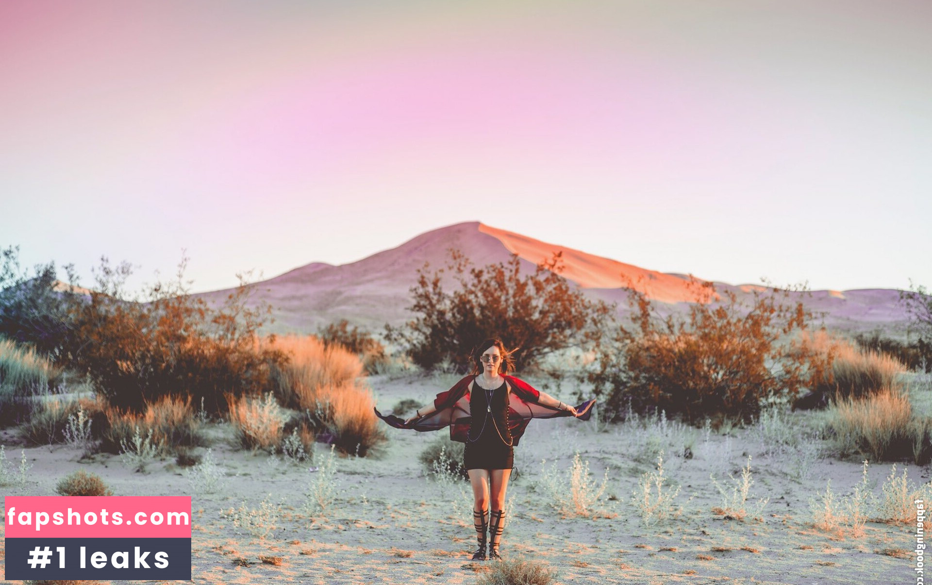 Sonja Reid gallery photo #91