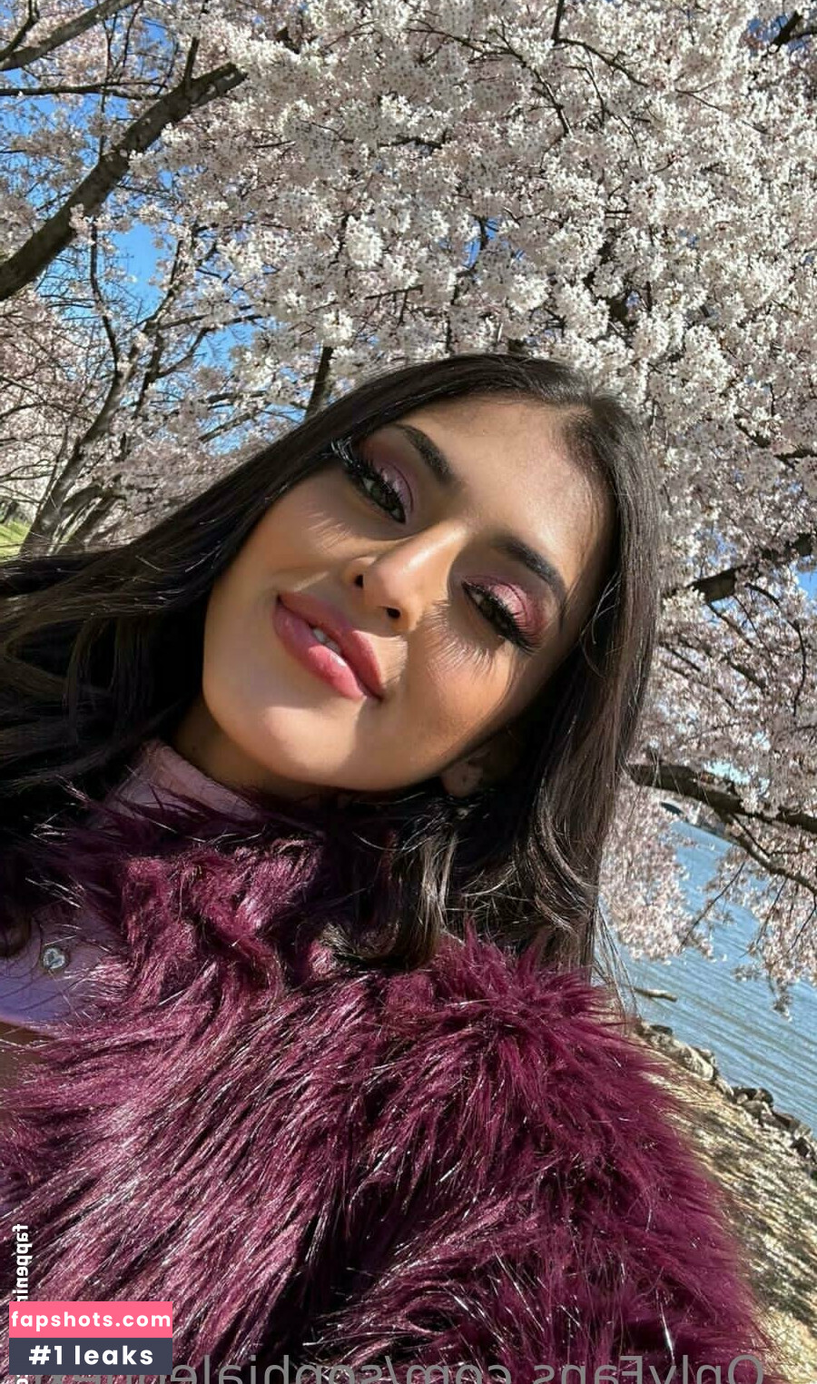 sophialeonexo gallery photo #43