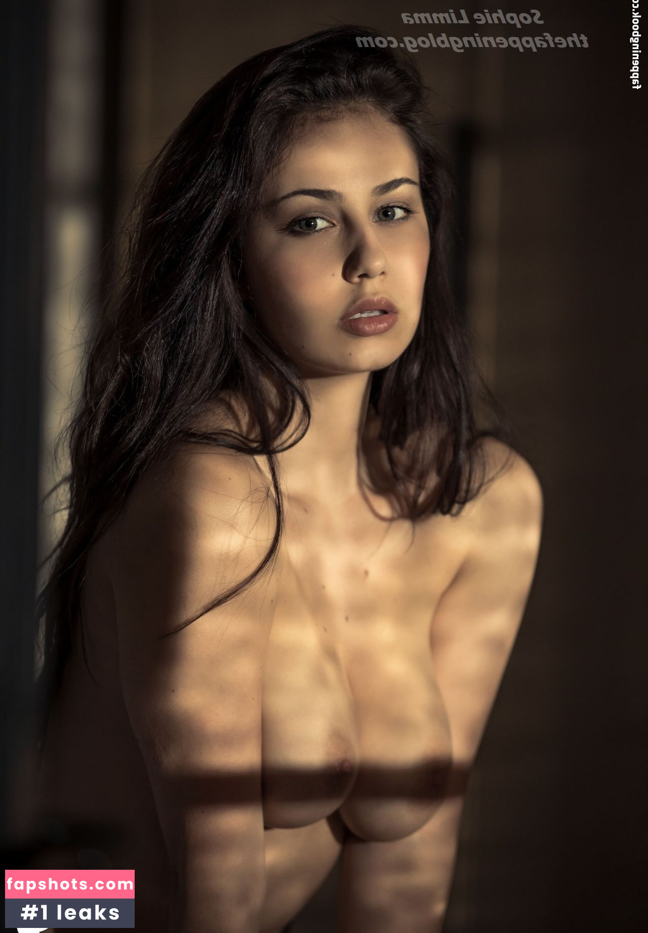 Sophie Limma Nude Leaks OnlyFans Photos #43 - Fapshots