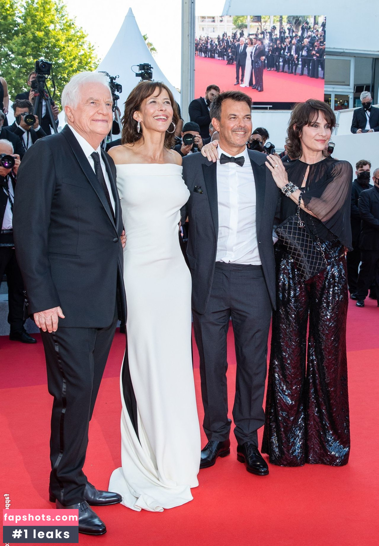 Sophie Marceau Nahé úniky fotek pouze od fanoušků #80 - Fapshots