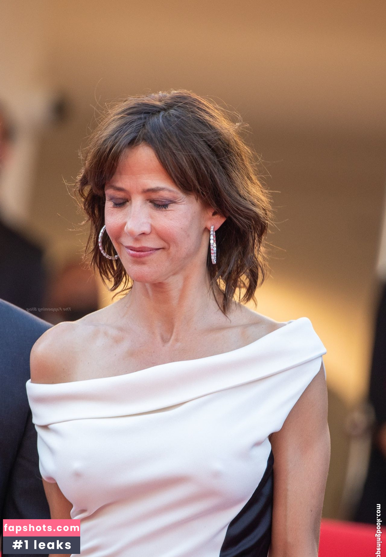 Sophie Marceau Nahé úniky fotek pouze od fanoušků #83 - Fapshots