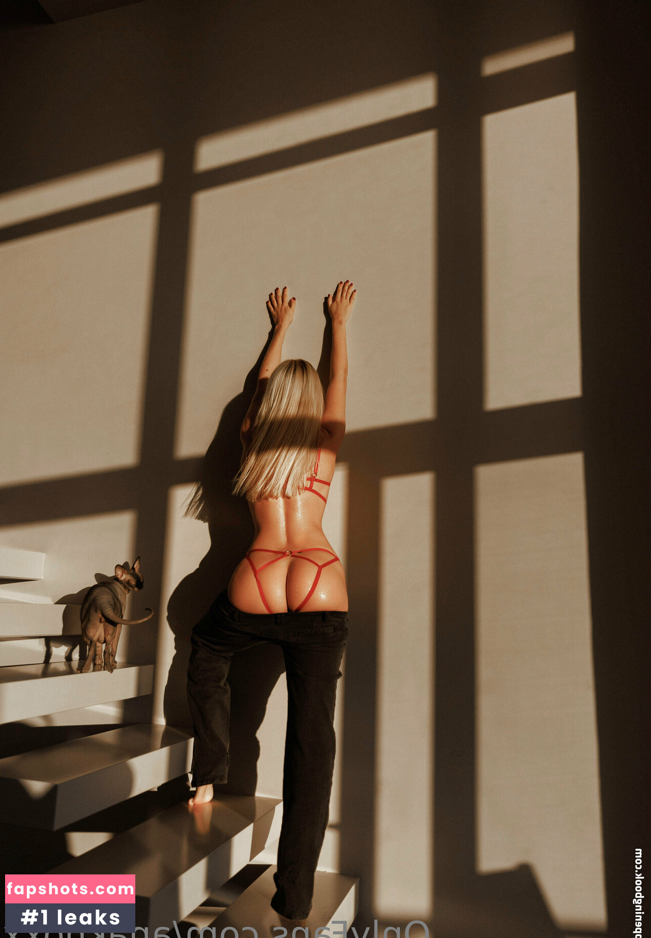 sophmoreschoolgirl gallery photo #22