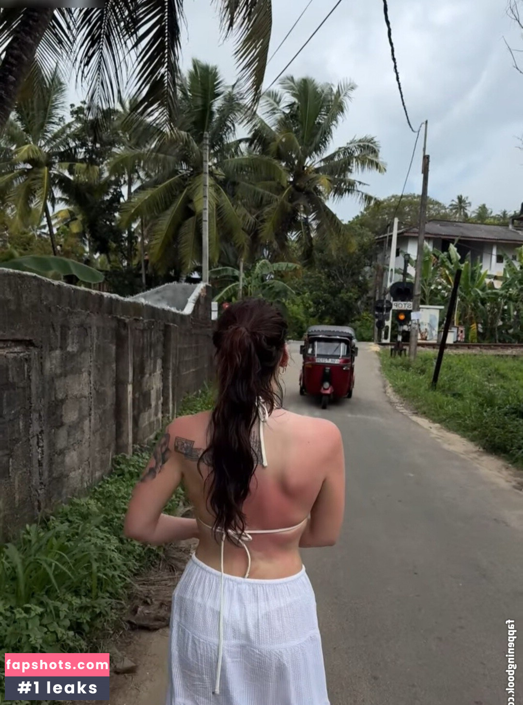 Sophodoph gallery photo #17