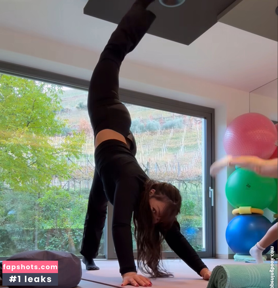 Sophodoph gallery photo #25