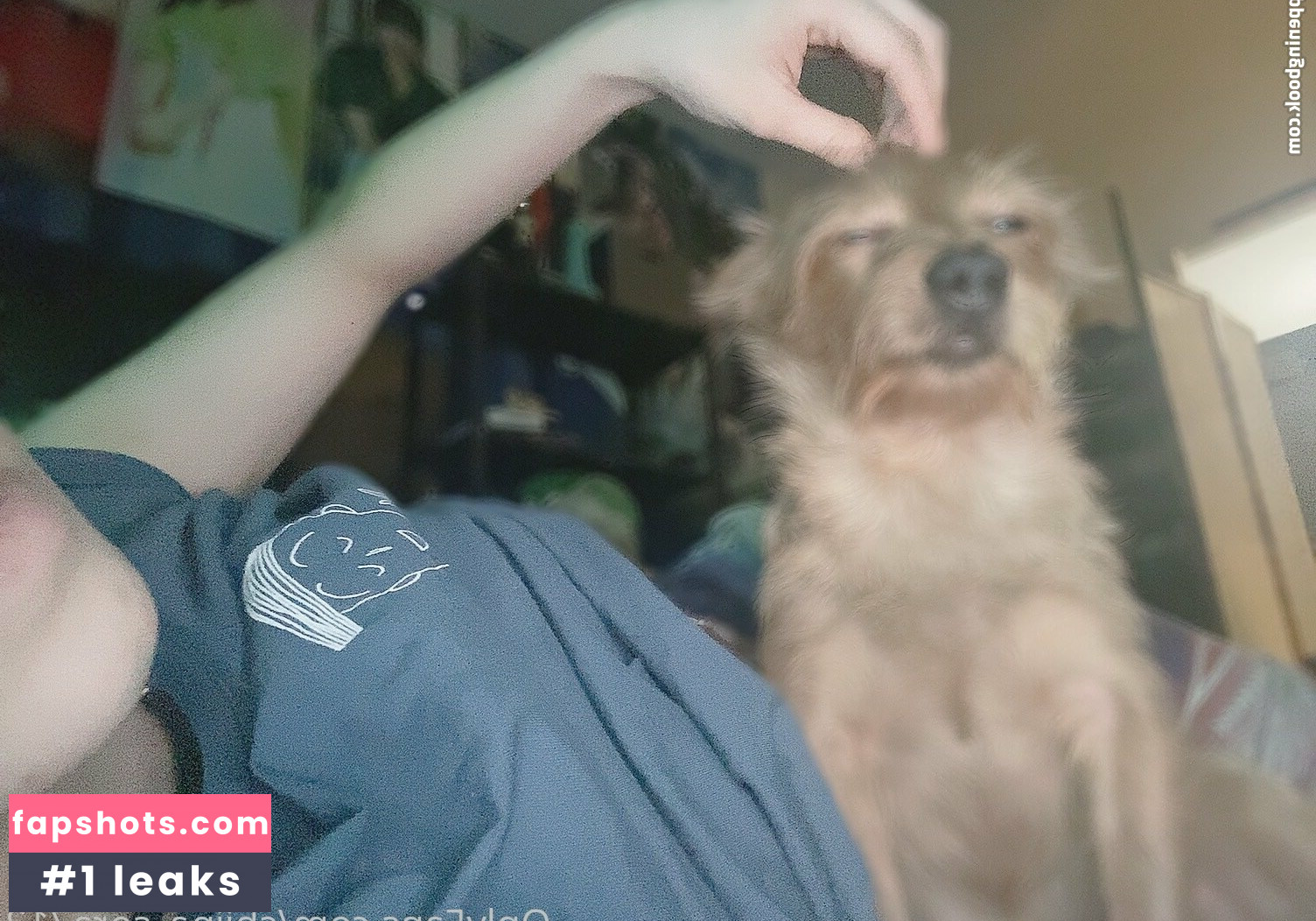 Sora Shiina gallery photo #8