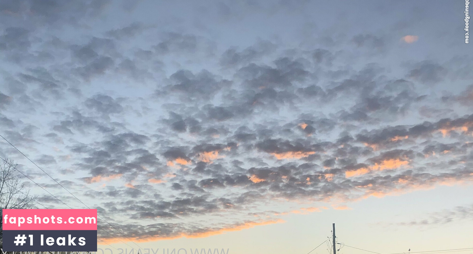 sototally gallery photo #21