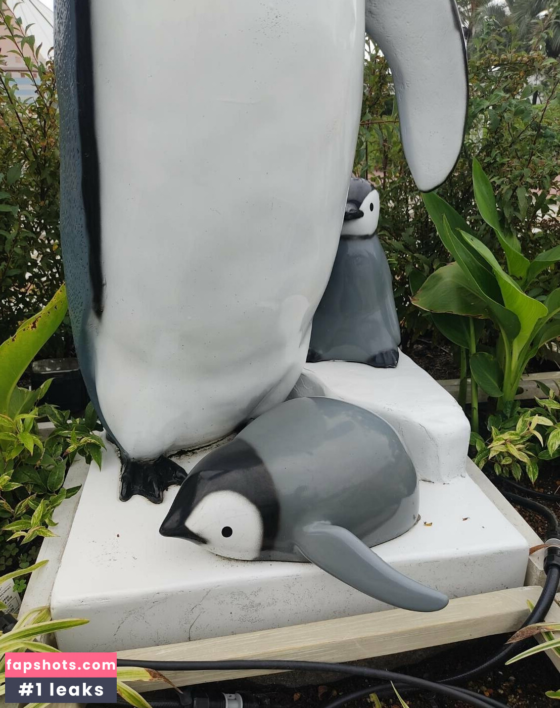 souai gallery photo #42