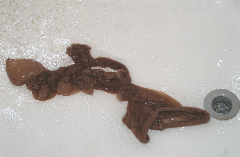 southern-charms-reese-2 Nacktheit OnlyFans Fotos #489 - Fapshots