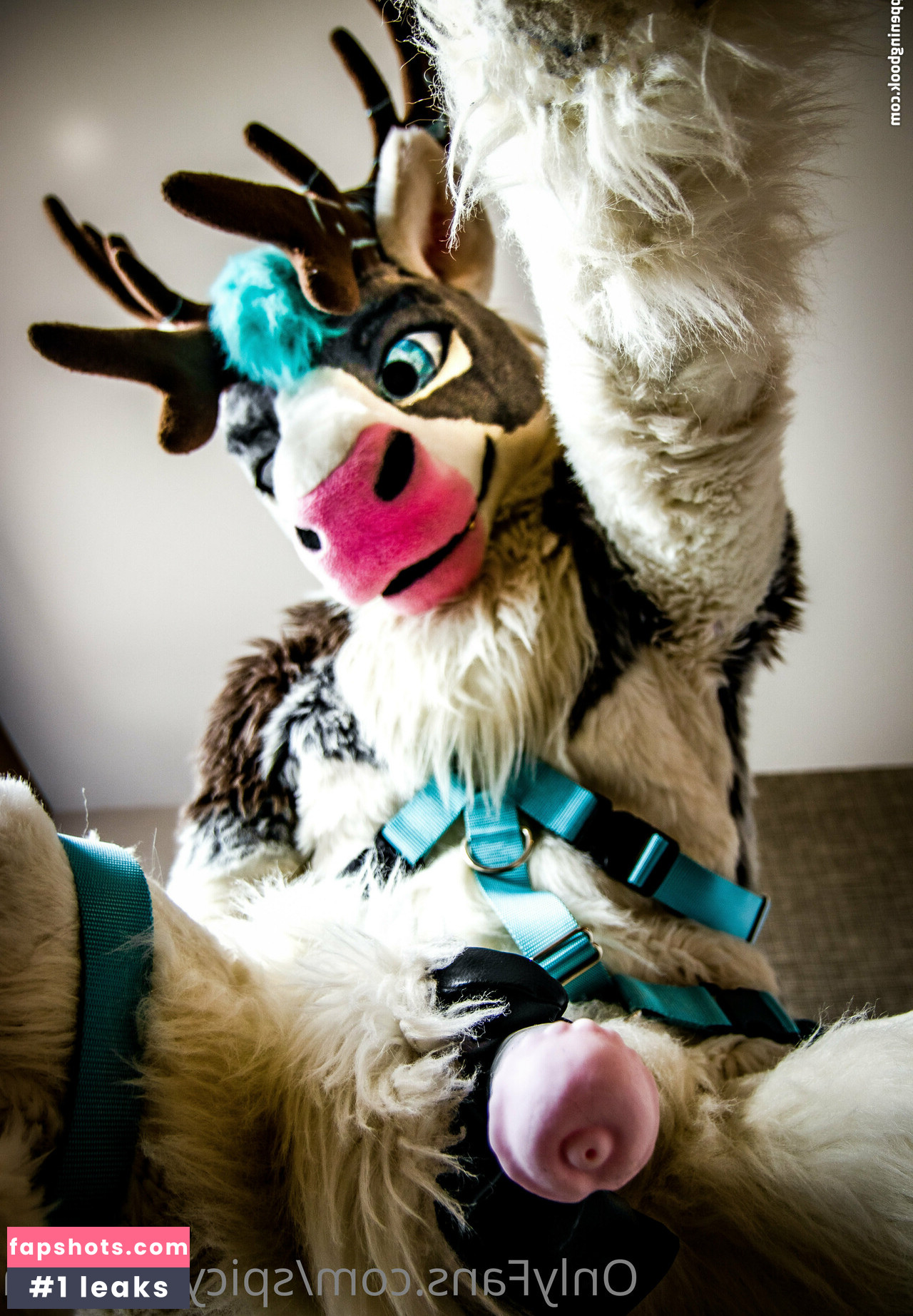 spicyvenison gallery photo #19