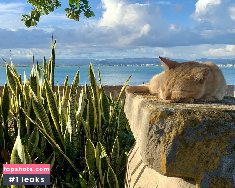 spicyysage gallery photo #21