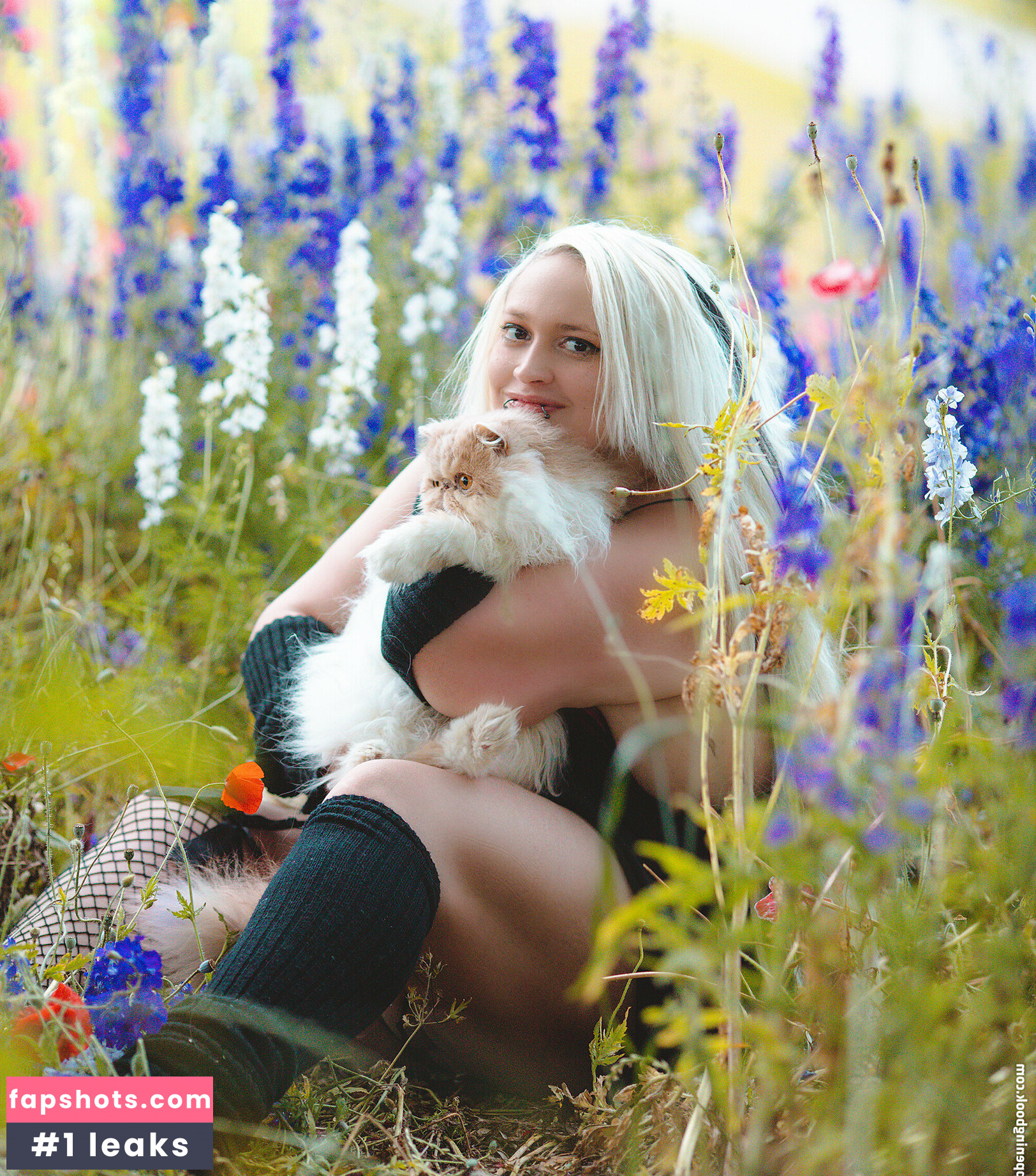 spikezombie gallery photo #32