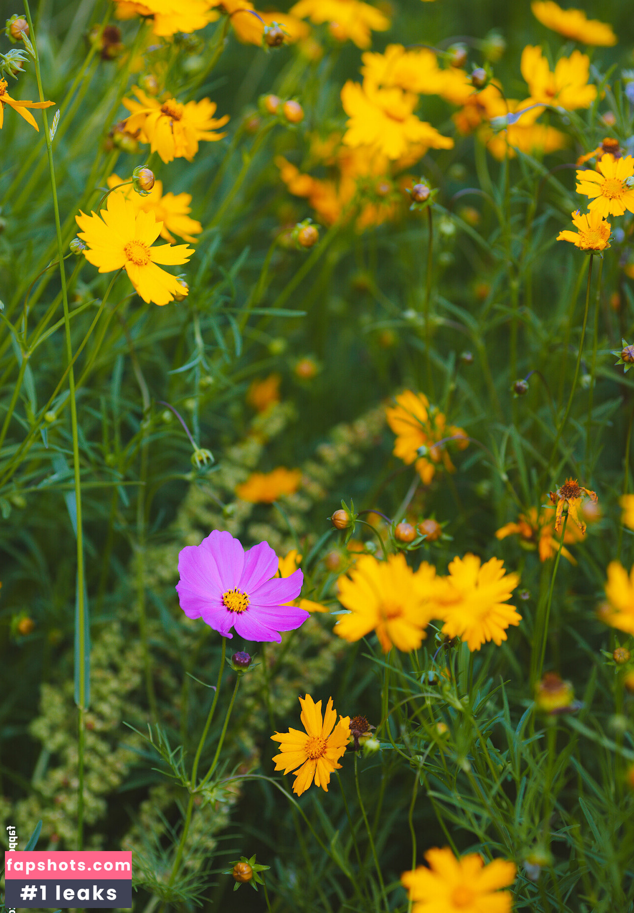 spikezombie gallery photo #7