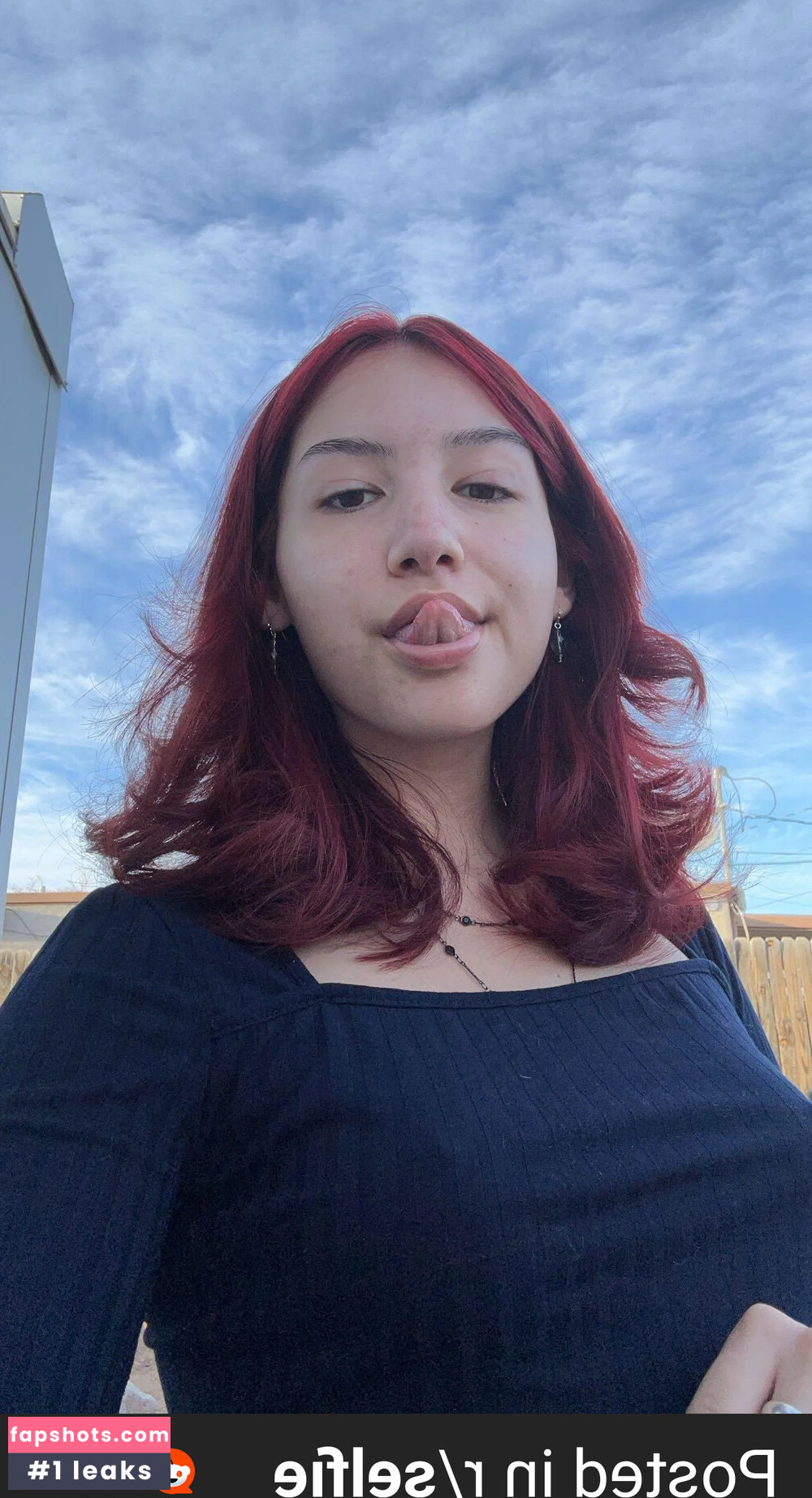 Spoilkat gallery photo #23