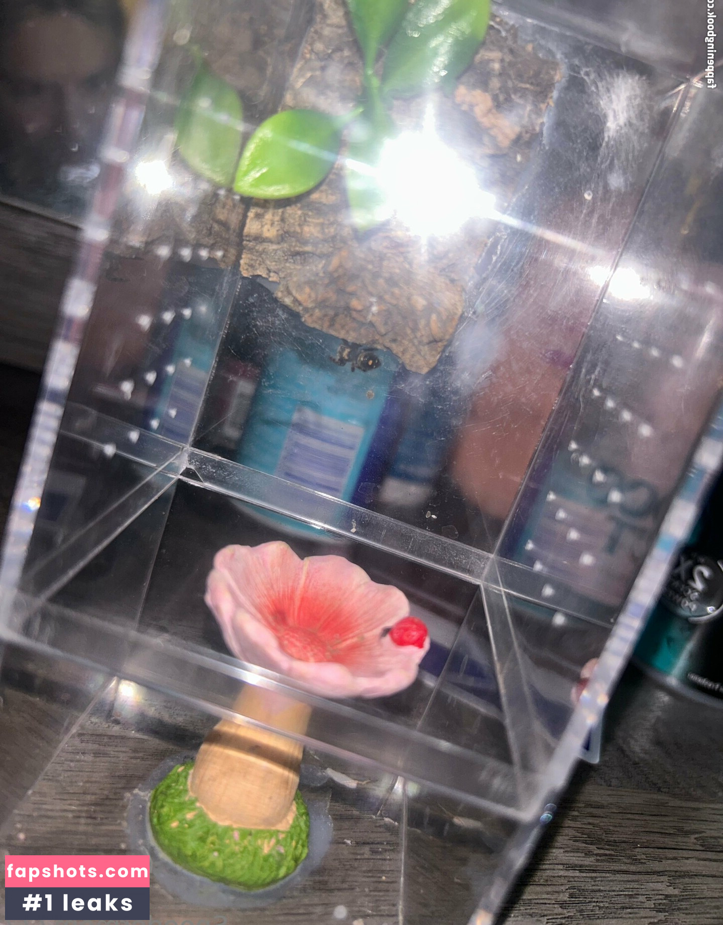 spoodermom444 gallery photo #24