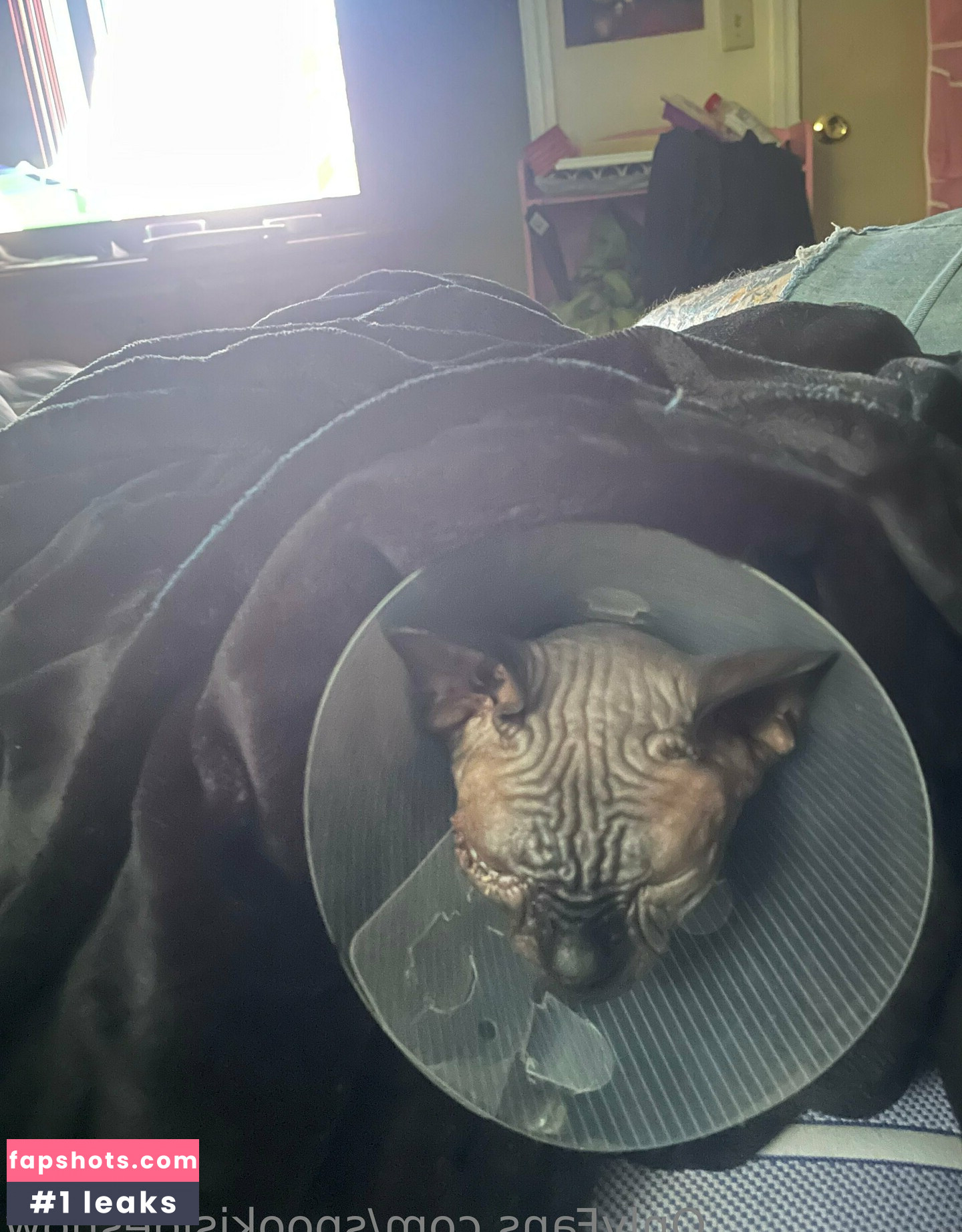 spookisideshow Nacktheit OnlyFans Fotos #10 - Fapshots