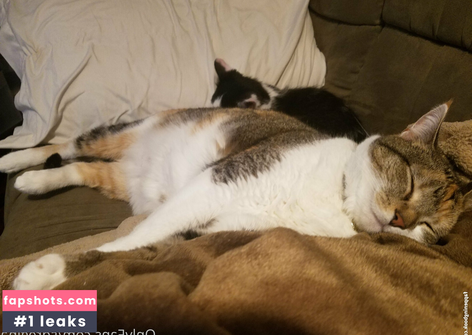 sqregina gallery photo #28