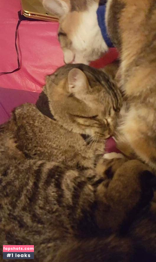 sqregina gallery photo #38