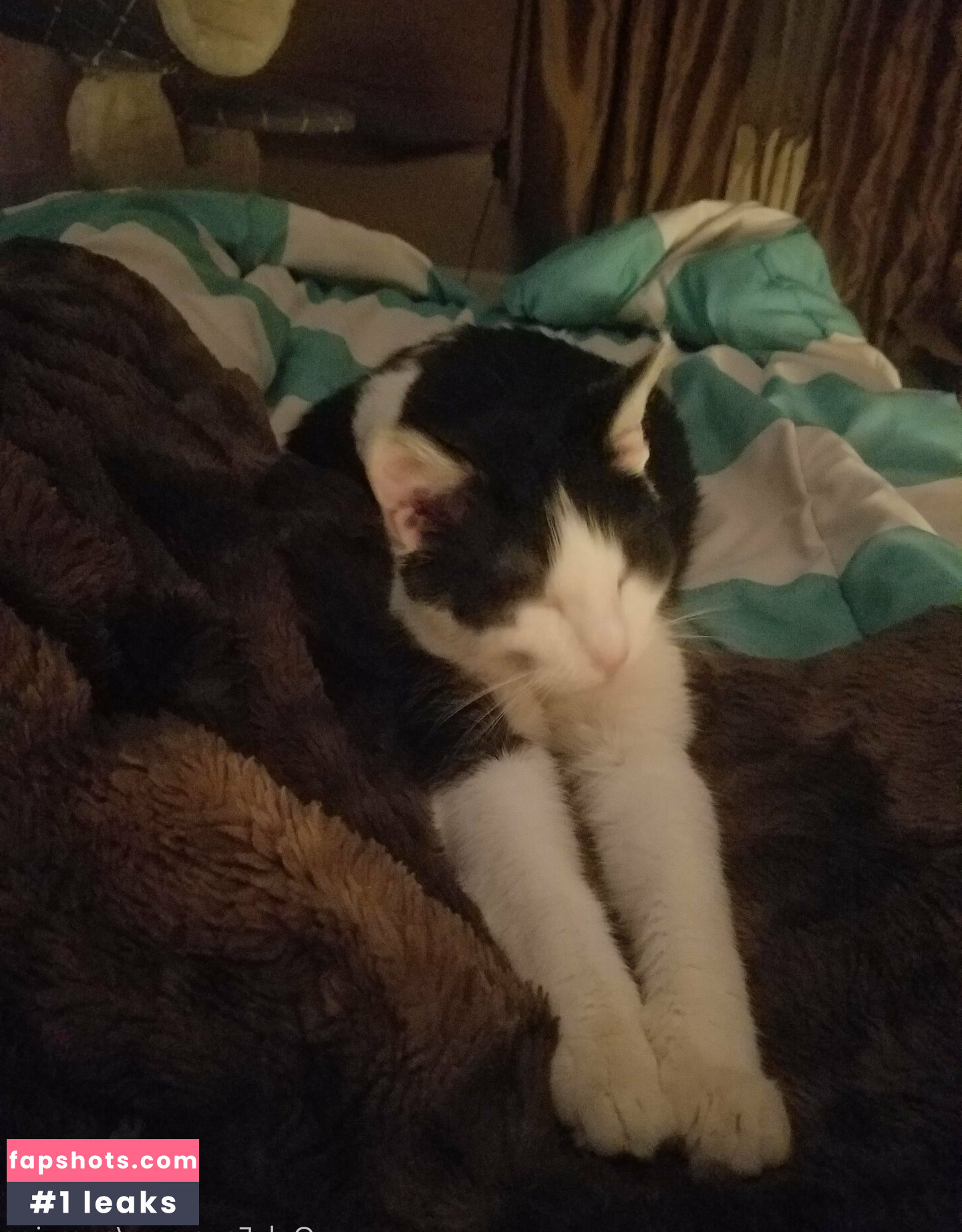 sqregina gallery photo #45