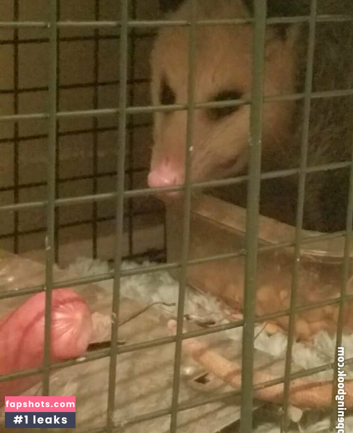 sqregina gallery photo #48