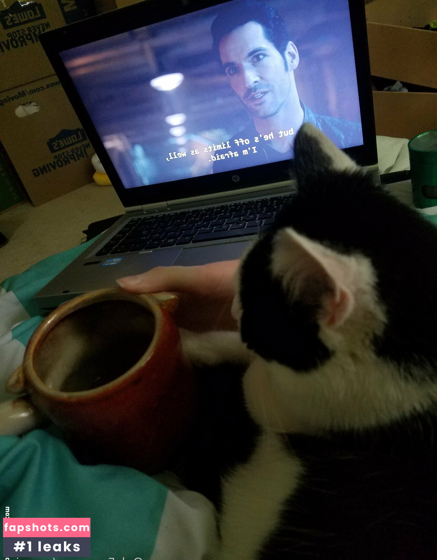 sqregina gallery photo #56