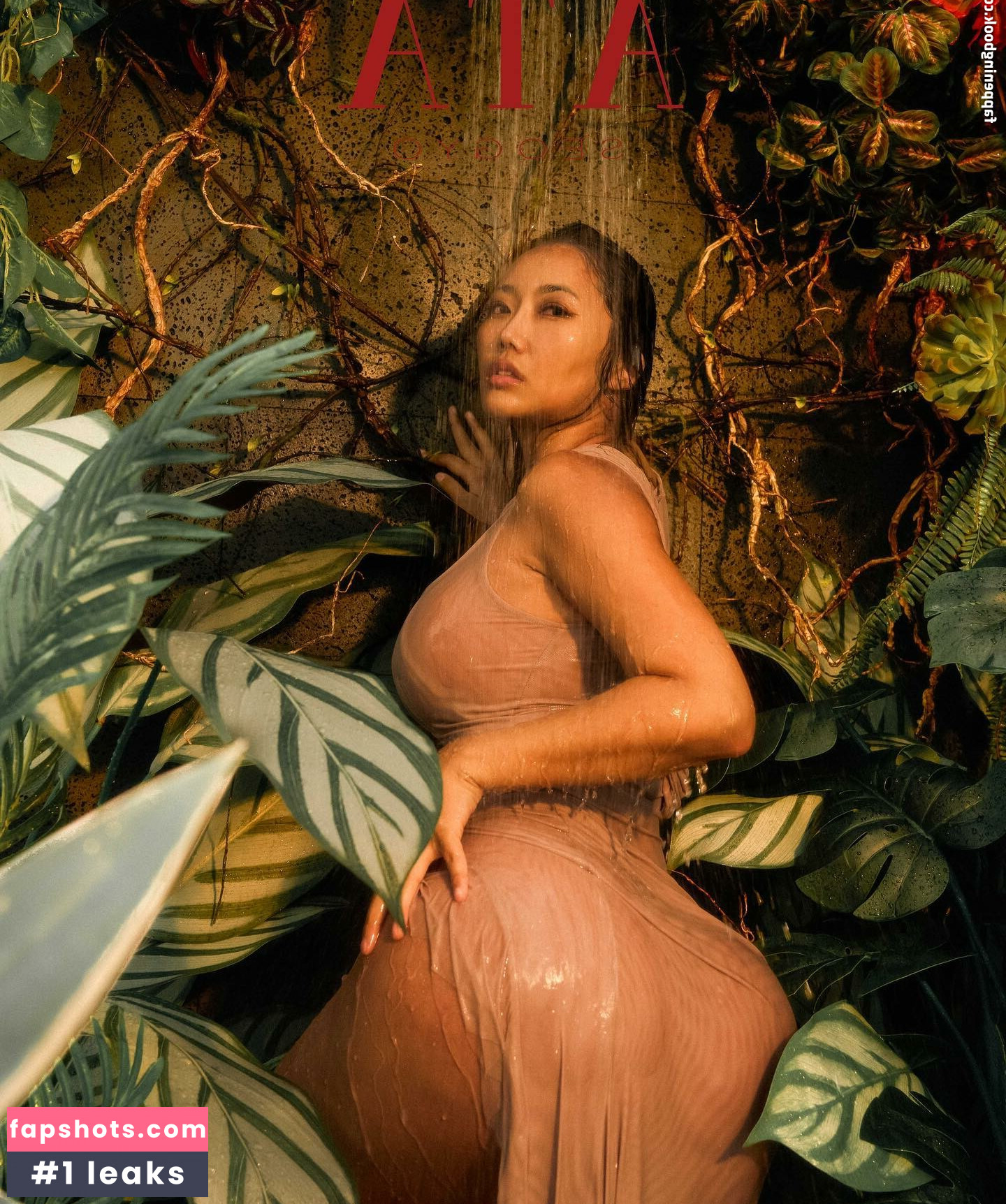 Ssunbiki gallery photo #10