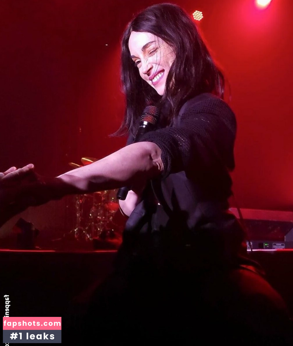 St Vincent gallery photo #5