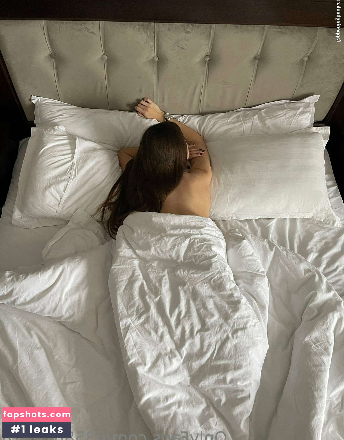 staasy_shaw gallery photo #3