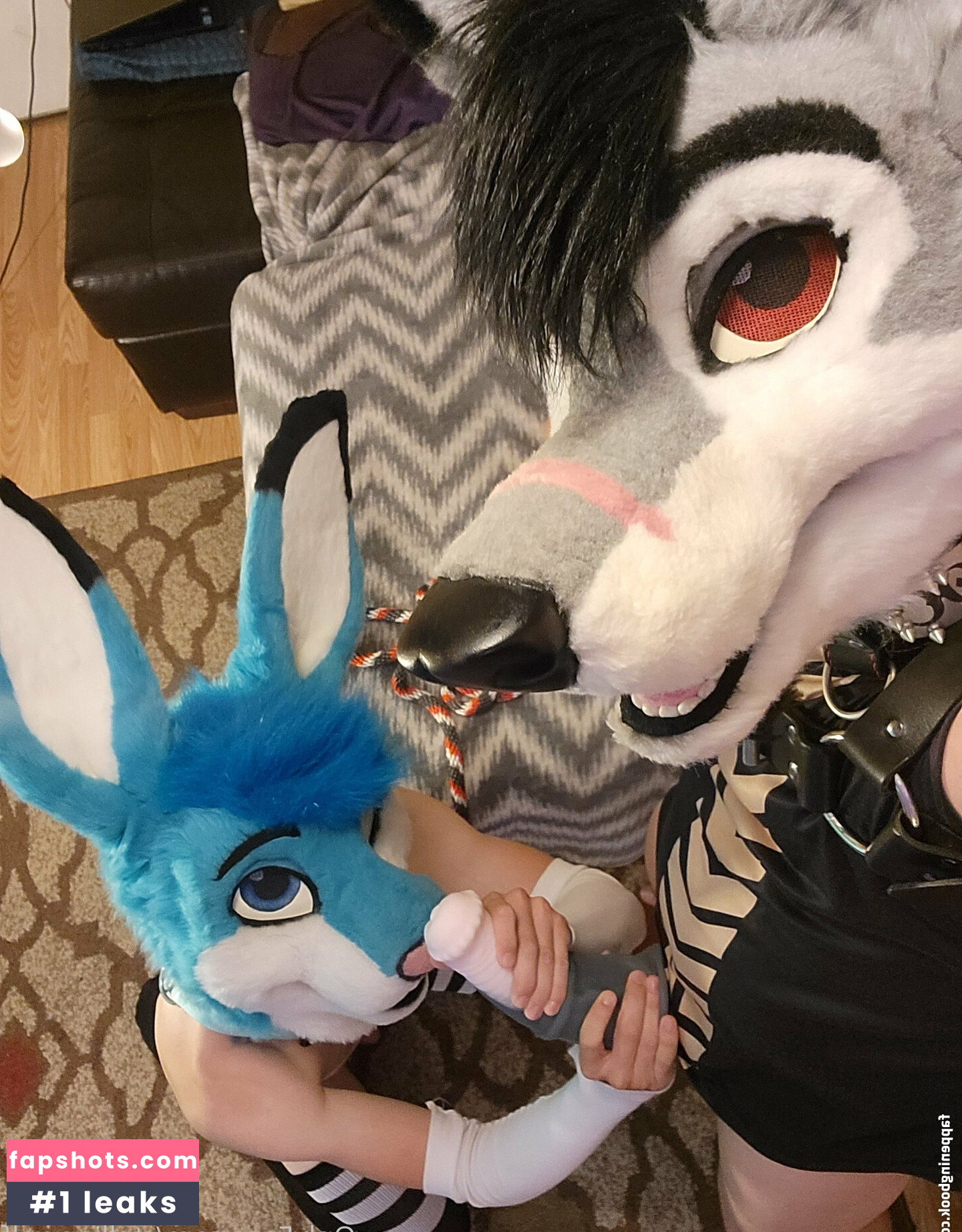 stallionwolf gallery photo #2